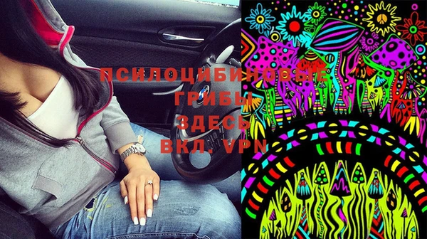 ГАЛЛЮЦИНОГЕННЫЕ ГРИБЫ Армянск