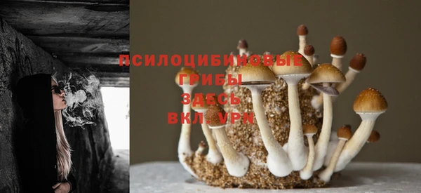 ГАЛЛЮЦИНОГЕННЫЕ ГРИБЫ Армянск