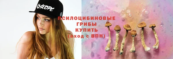 ГАЛЛЮЦИНОГЕННЫЕ ГРИБЫ Армянск