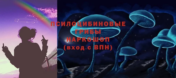 ПСИЛОЦИБИНОВЫЕ ГРИБЫ Покровск