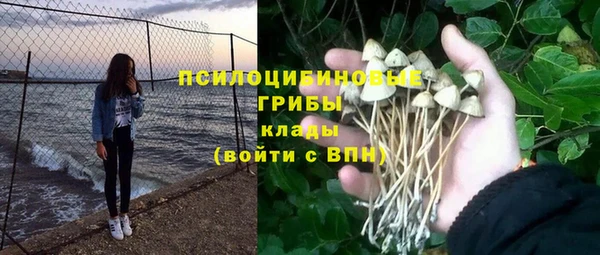 не бодяженный Аркадак
